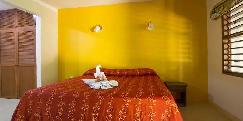 Koox City Garden Hotel Playa del Carmen 3*,  Mexico