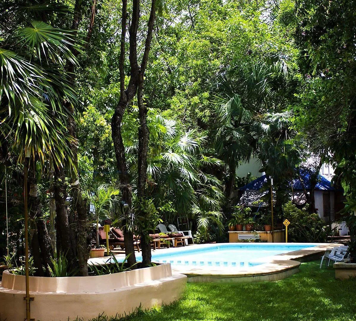 Koox City Garden Hotel Playa del Carmen