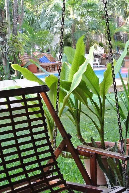 Koox City Garden Hotel Playa del Carmen Mexico